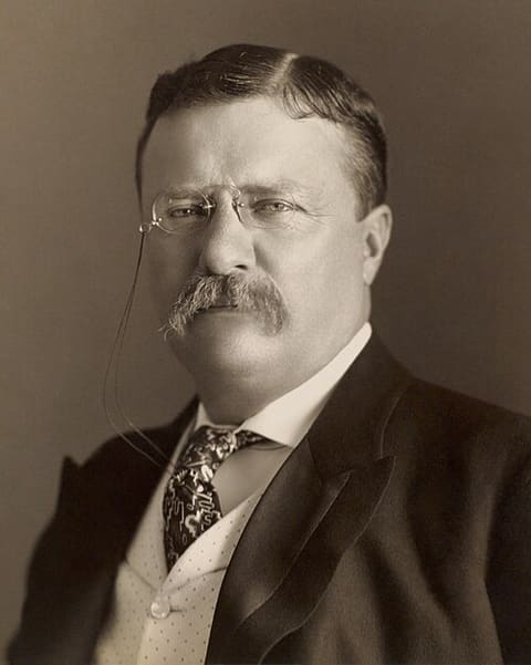 Porträt von Theodore Roosevelt