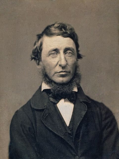 Porträt von Henry David Thoreau